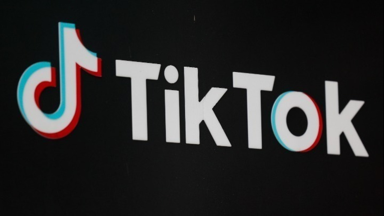 tiktok ape.jpg