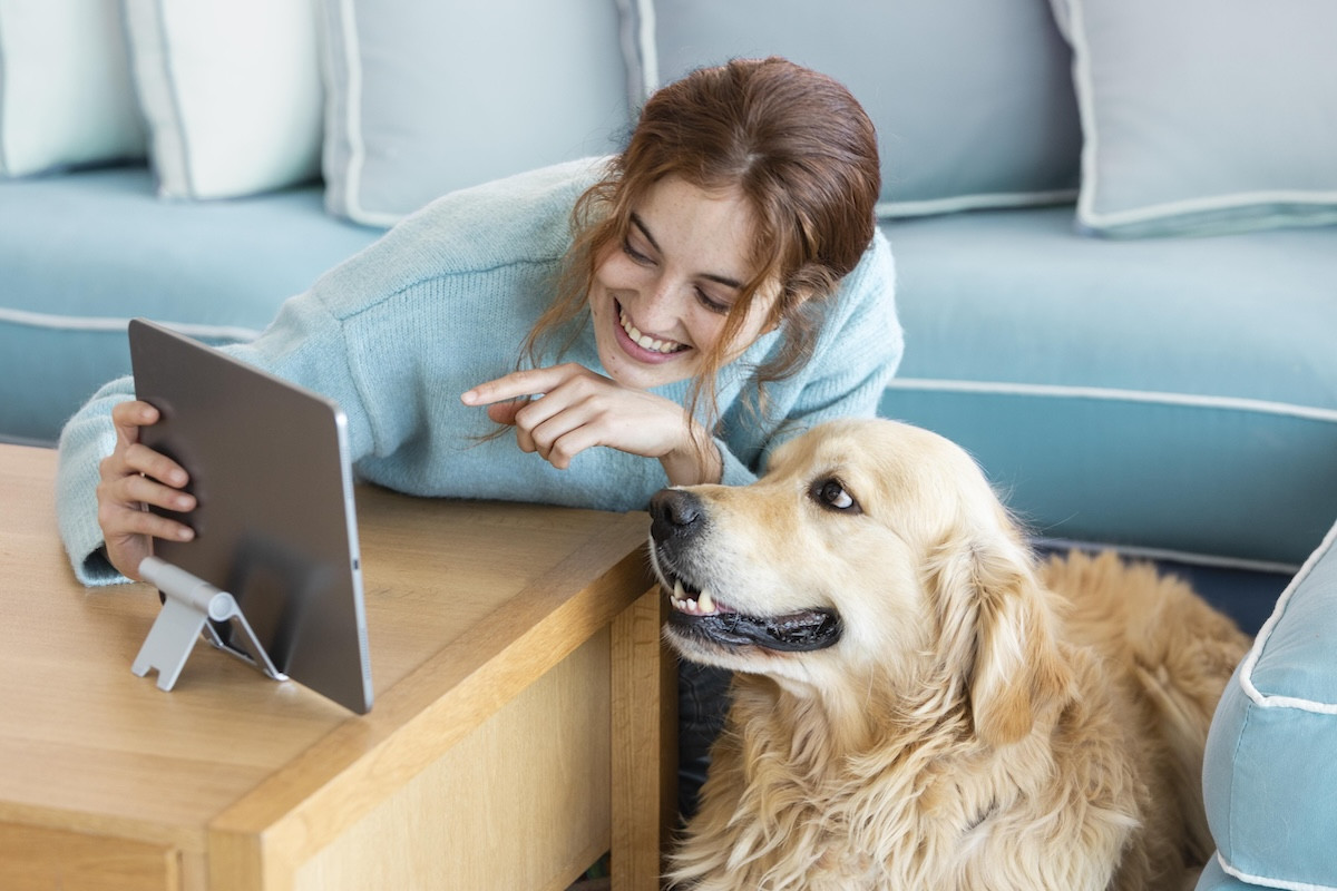 454051 ti skeftetai o skylos sas otan vlepei tileorasi oi tainies pou protima.jpg