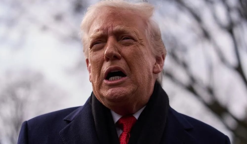 befunky collage234dfvsf 2026 03 31t193149.219.jpg