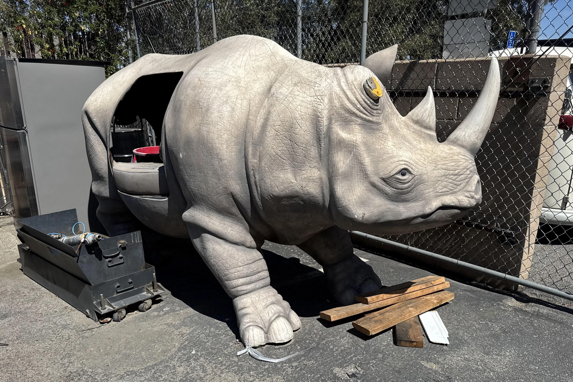 ace ventura rino opening.jpg