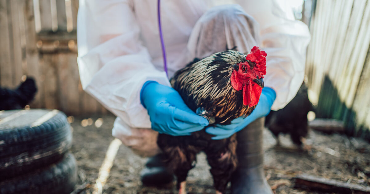 istock 2157600763 1200x630.jpg