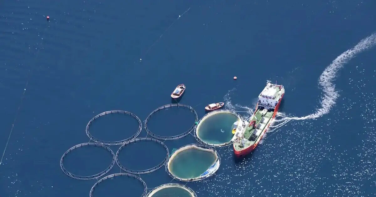 istock 522329752 1200x675 1 1200x630.jpg