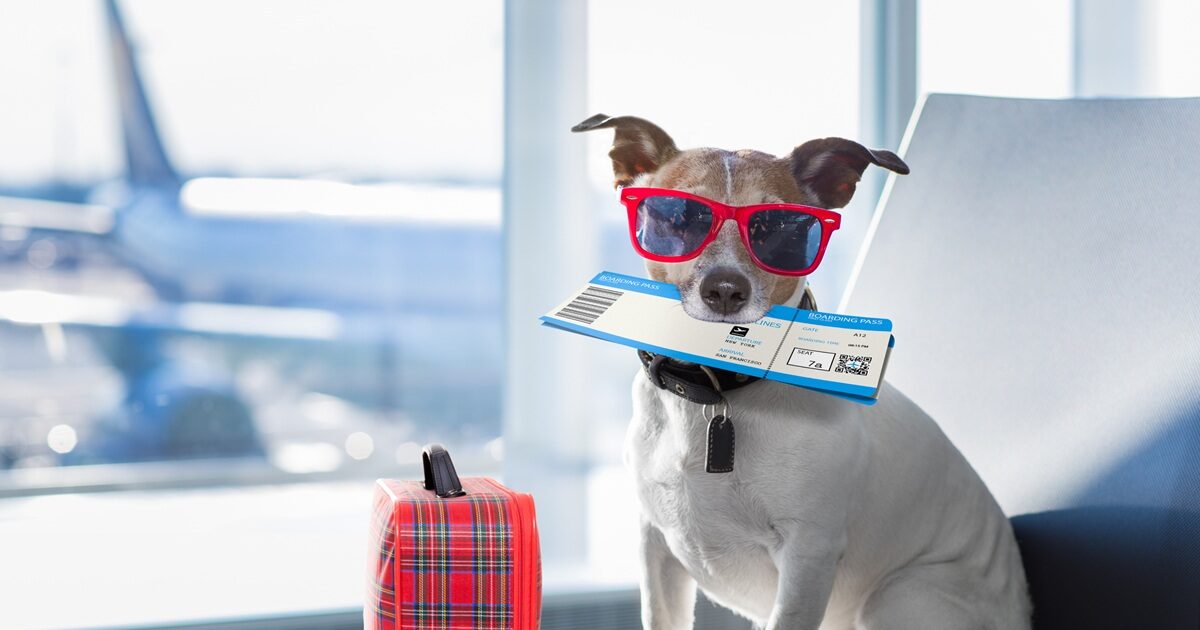 istock 667787320 1200x630.jpg