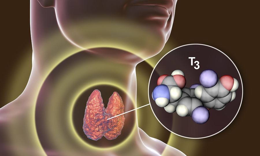 454350 posa kila pairnei kapoios me hashimoto ti na prosechoun sti diatrofi tous.jpg