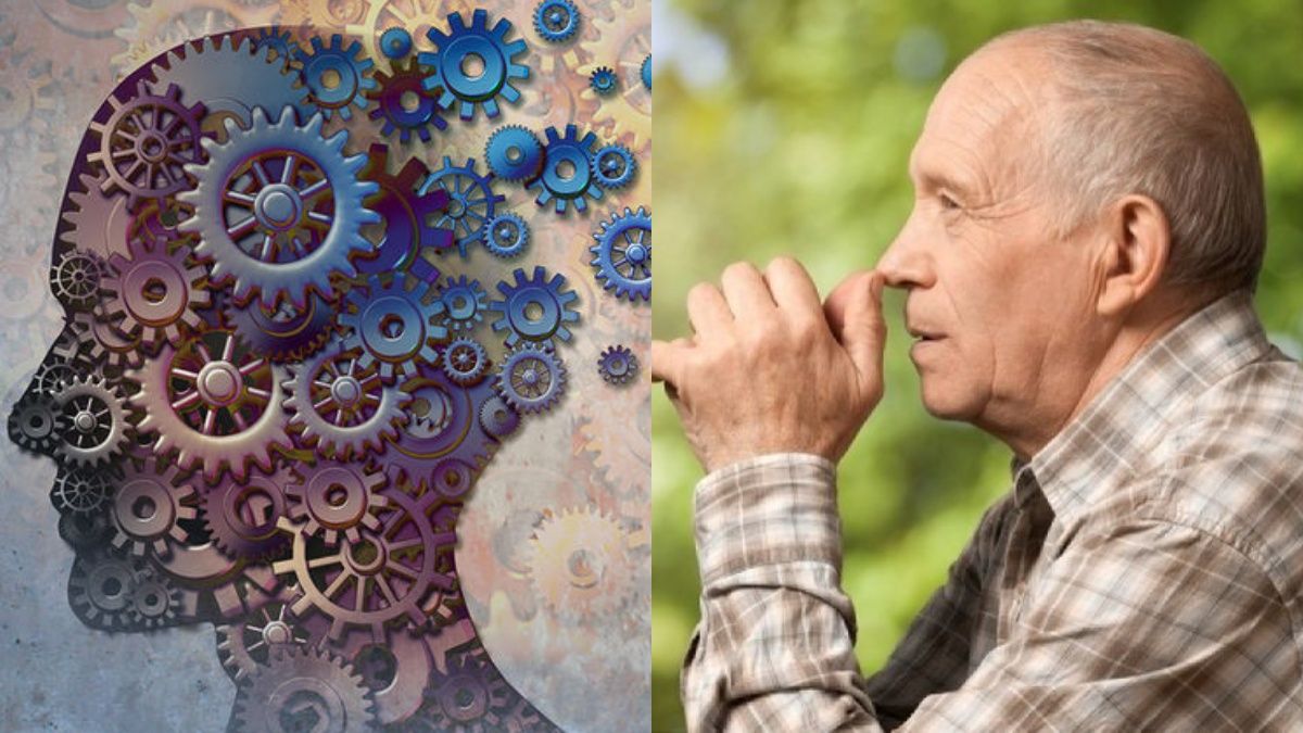 455137 altschaimer to simadi pou deichnei tin exelixi tis nosou se kathe stadio.jpg