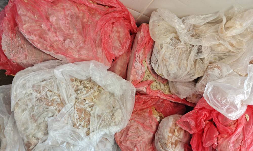 befunky collage234dfvsf 2026 04 10t135804.476.jpg