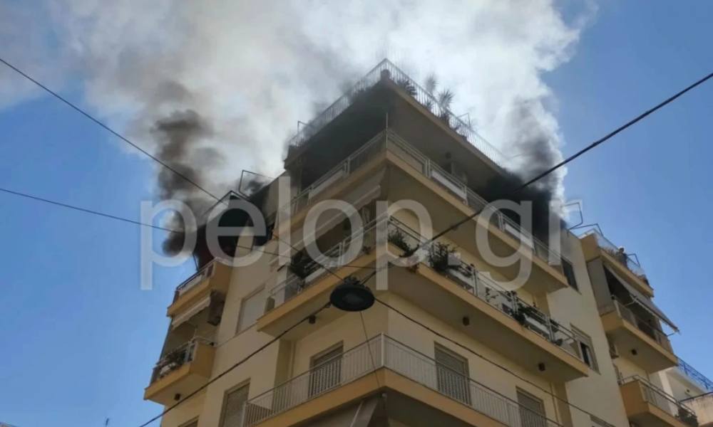 befunky collage234dfvsf 2026 04 10t170417.216.jpg