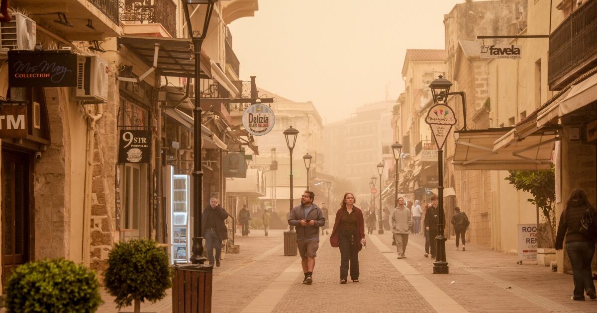 afrikaniki skoni 1 1200x630.jpg