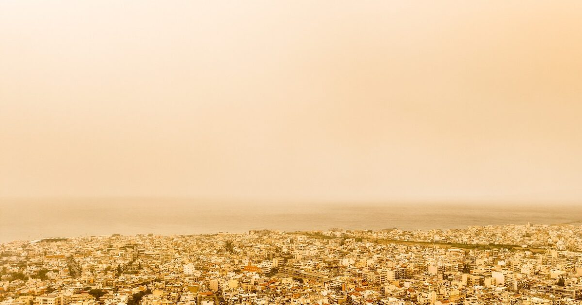 afrikaniki skoni 2 1200x630.jpg