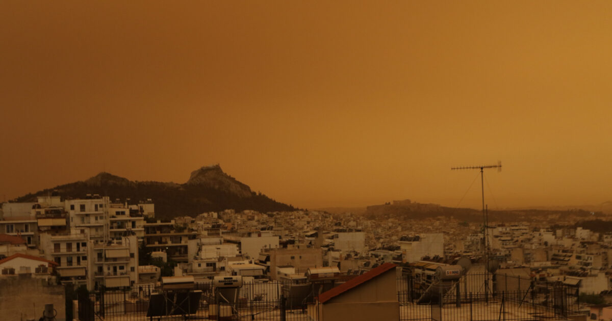 afrikaniki skoni eurok 2 1200x630.jpg