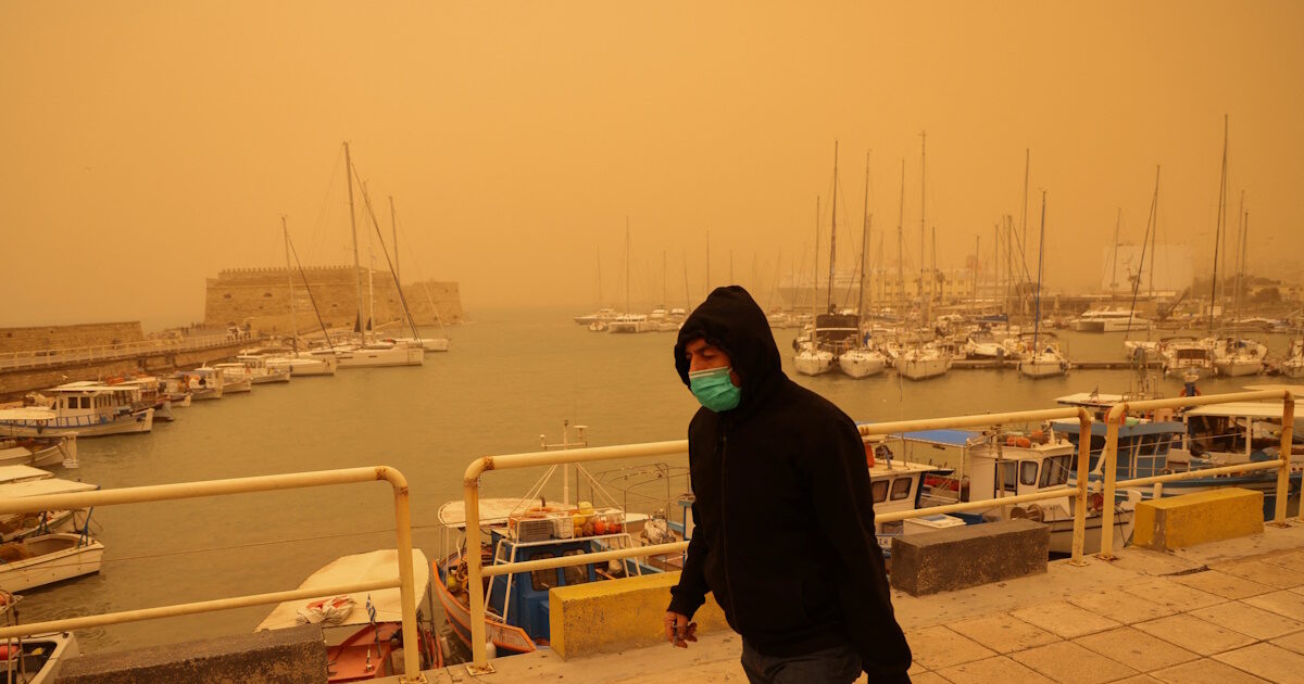 afrikaniki skoni kriti 11 1200x630.jpg