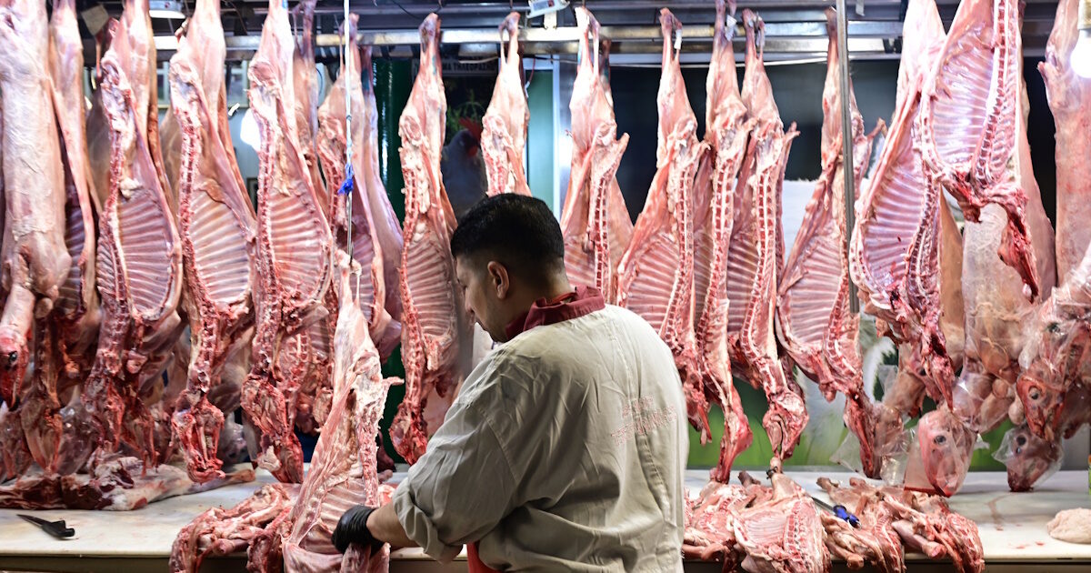 arnia pasxa 1200x630.jpg