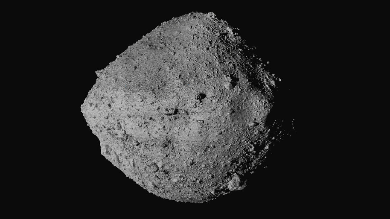 asteroidis ap.jpg