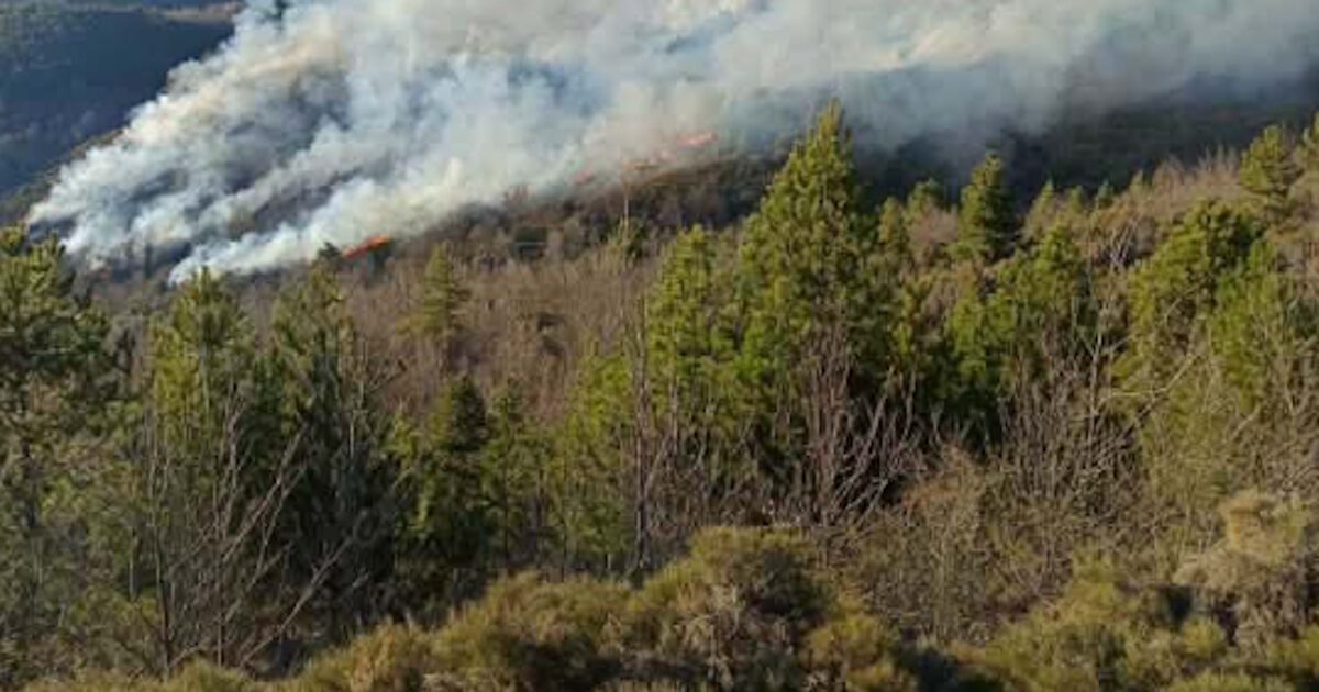 fotia lakonia 08042026 1200x630.jpg