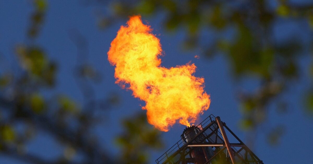 oil belgium 1200x630.jpeg