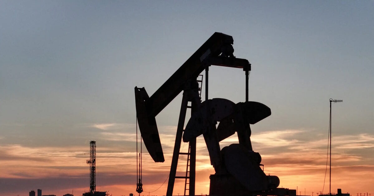 petrelaio kausima reuters scaled 1 1200x630.jpg