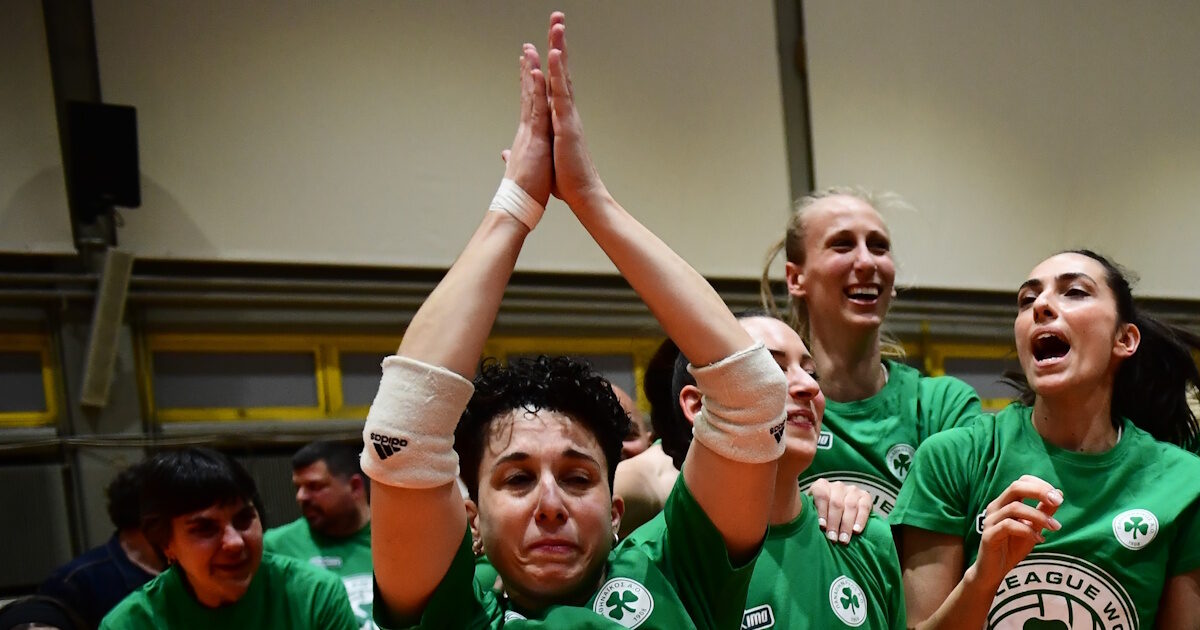 rogka 3 1 1200x630.jpg