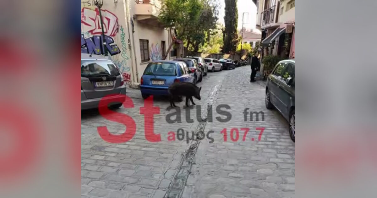 thessaloniki agriogourouno 1200x630.jpg