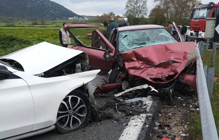 troxaio distixima 768x492 jpg.webp.webp