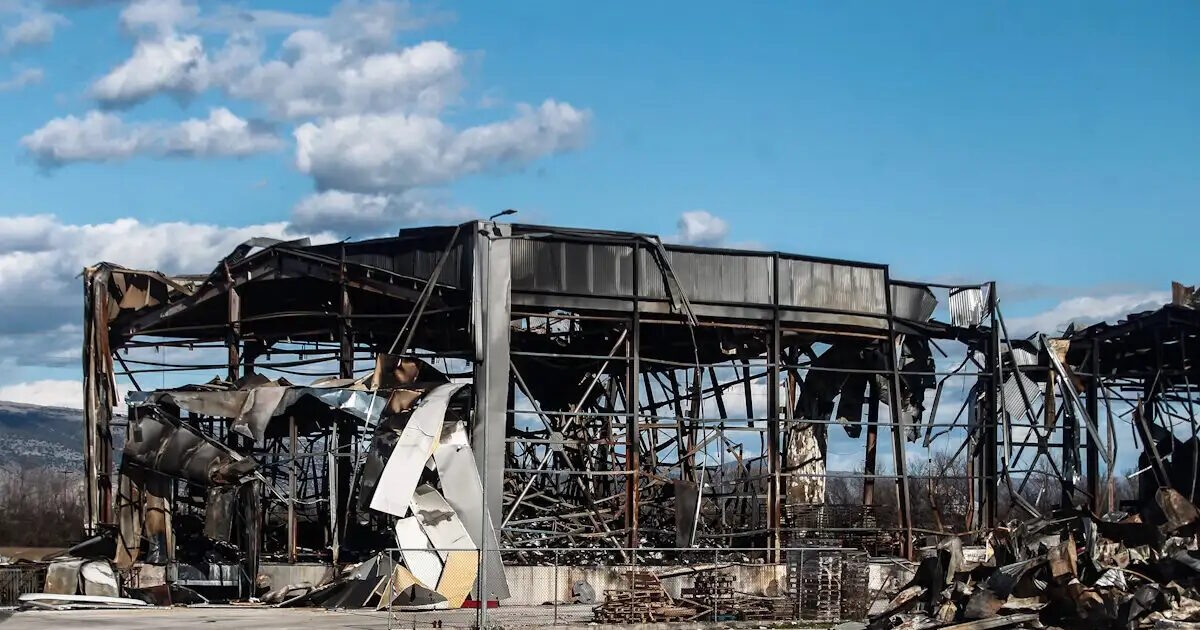 violanta 01042026 1200x630.jpg