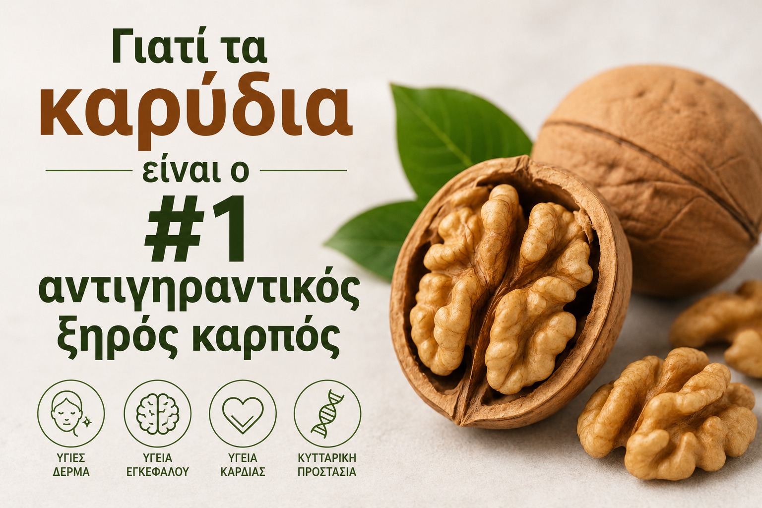 456329 giati ta karydia einai o 1 antigirantikos xiros karpos.jpg