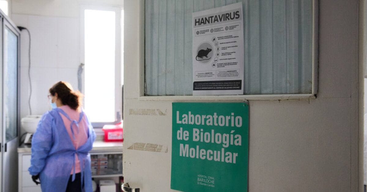 hantavirus ygeia ap 1 1200x630.jpg