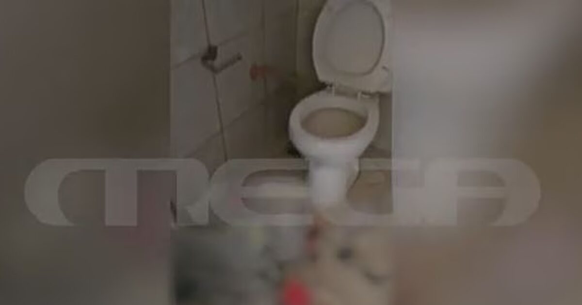 peristeri diamerisma trogli 1200x630.jpg