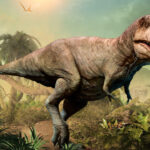 tyrannosaurus rex shutterstock.jpg