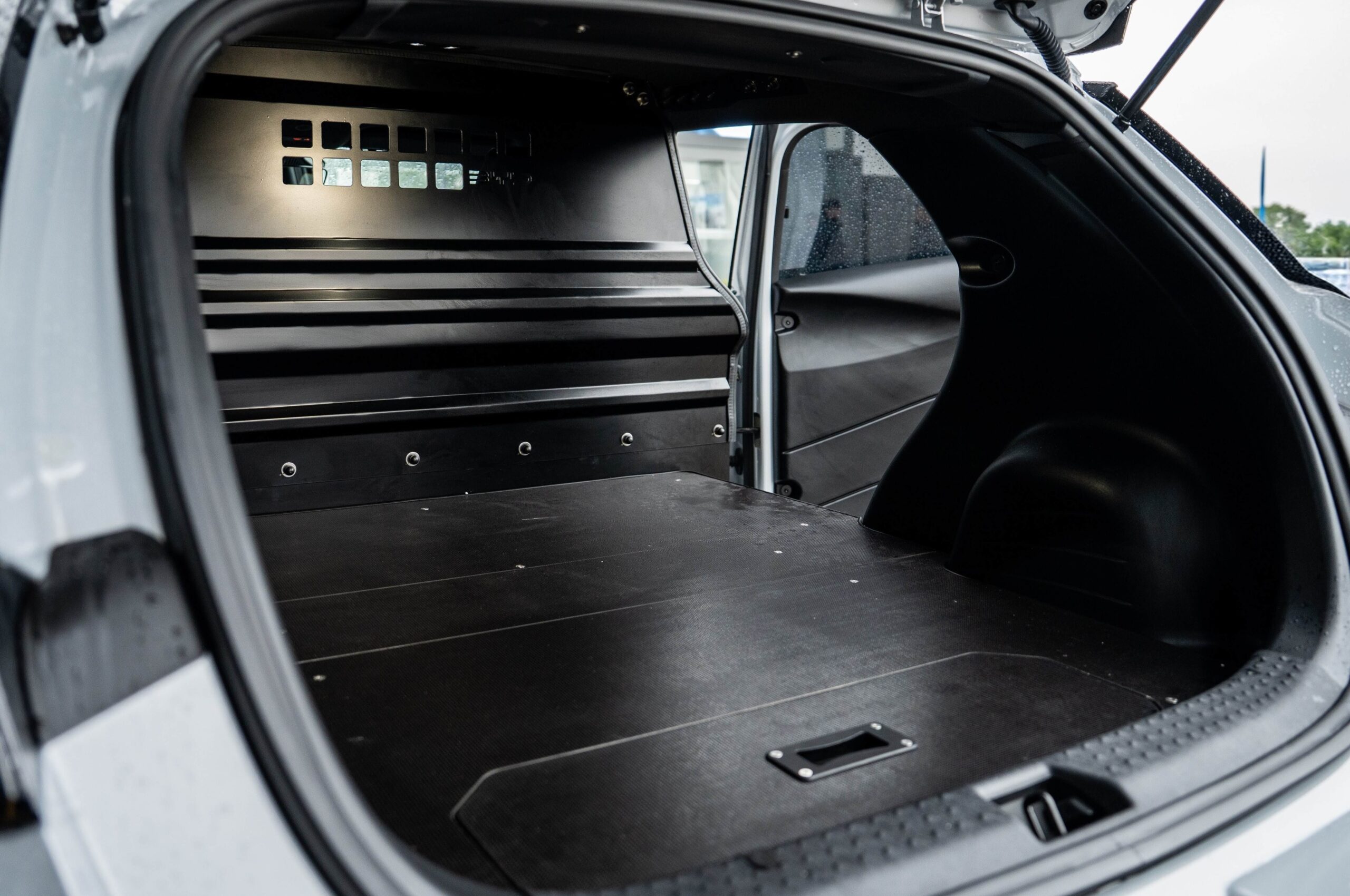 byd dolphin cargo e van load area.jpg