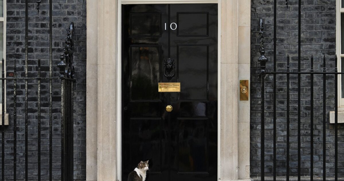 larry the cat 1200x630.jpg
