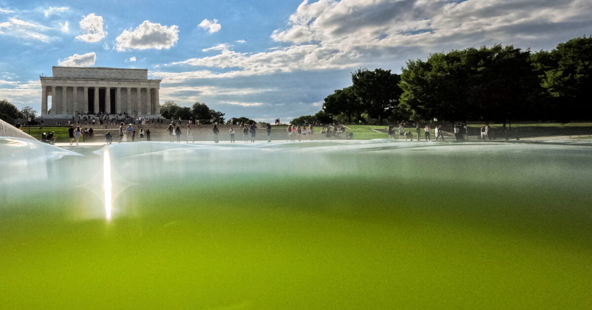 lincoln memorial reuters 2 1200x630.jpg