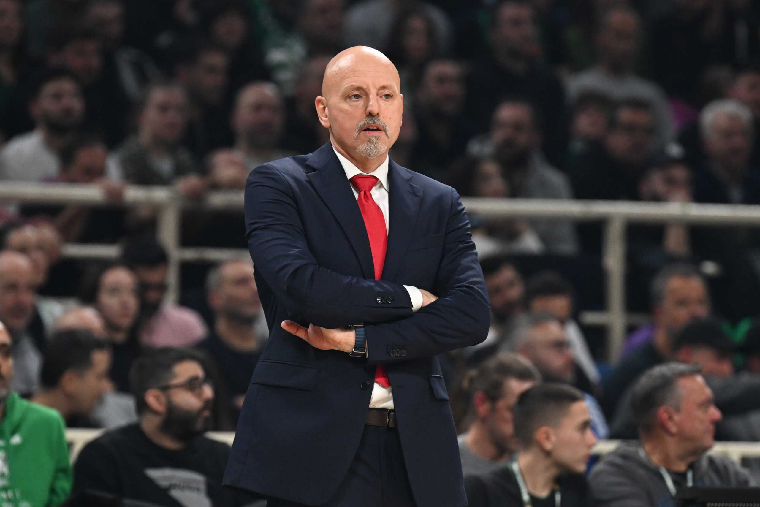 obradovic scaled.jpg