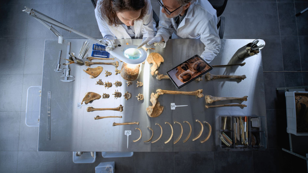 shutterstock osta archaiologoi skeletos.jpg