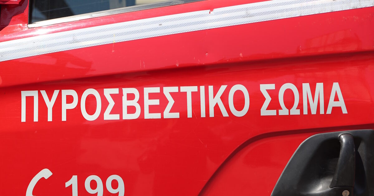 purosvestiki1 1200x630.jpg