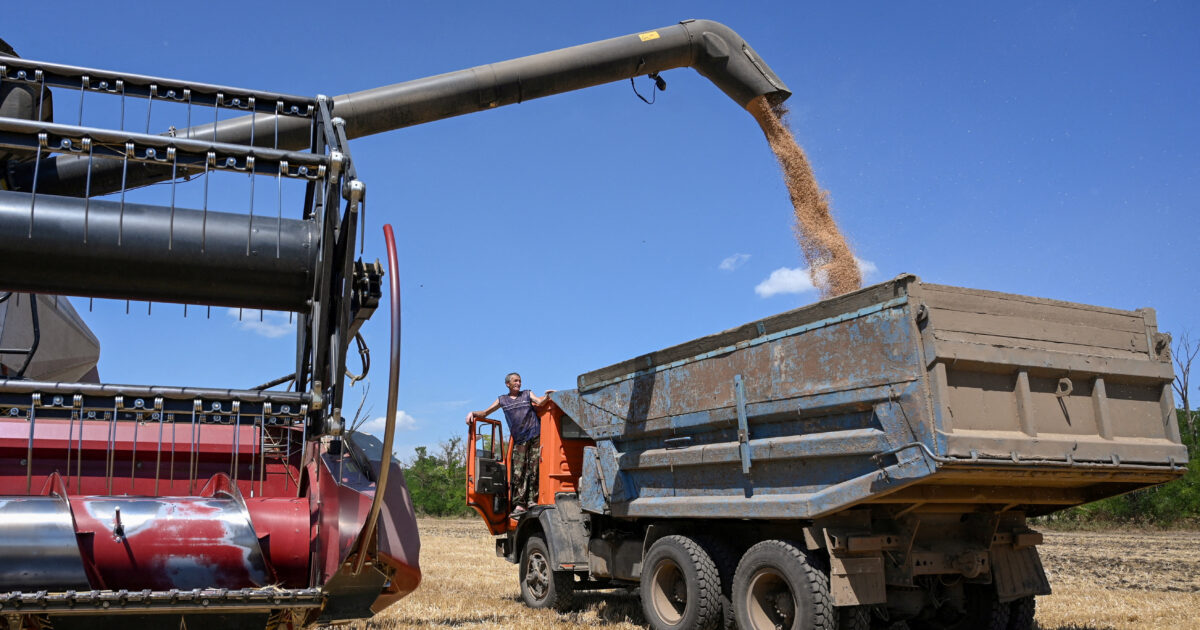 2026 07 28t162457z 745772473 rc2jdma1tpe7 rtrmadp 3 ukraine crisis russia grain 1200x630.jpg