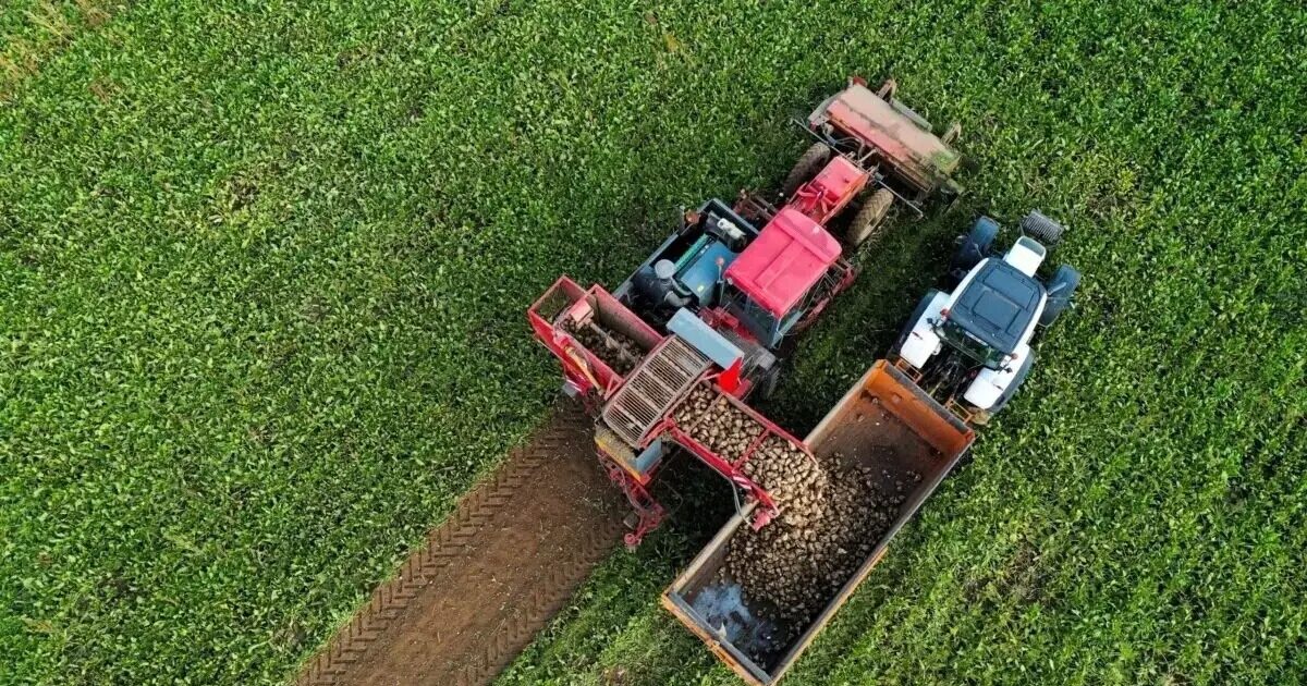 agrotes trakter reuters 2 1200x630.jpg