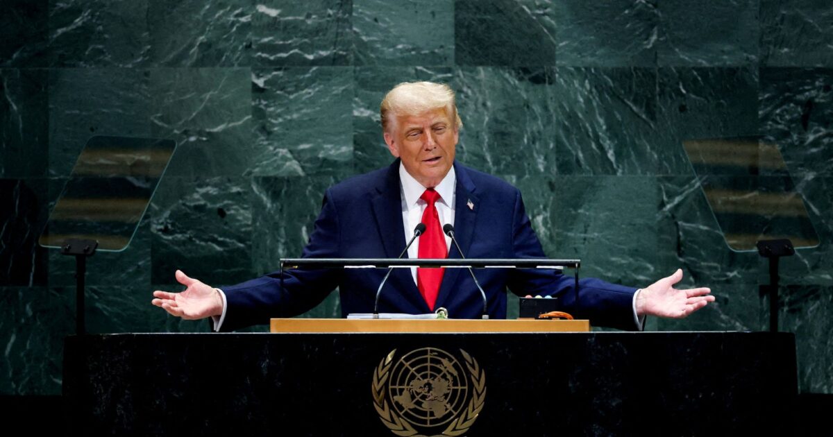 trump 13 1200x630.jpg
