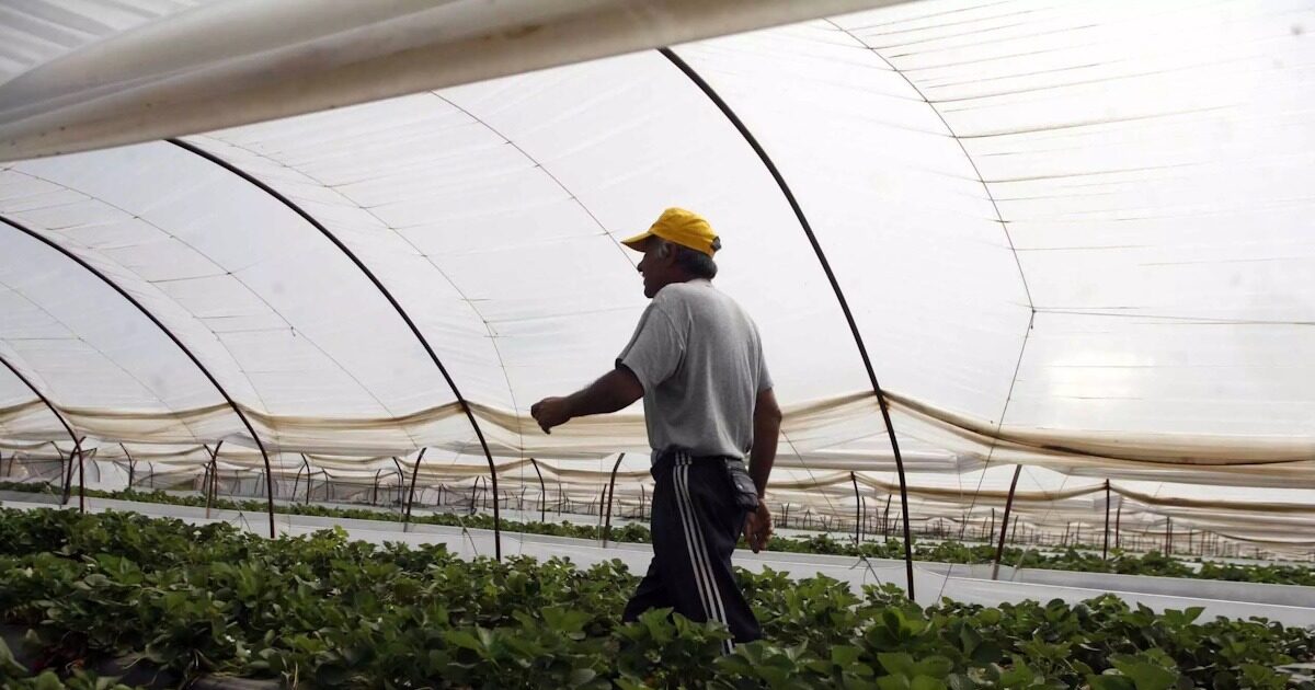 agrotes thermokipio eurokinissi 1 1200x630.jpg
