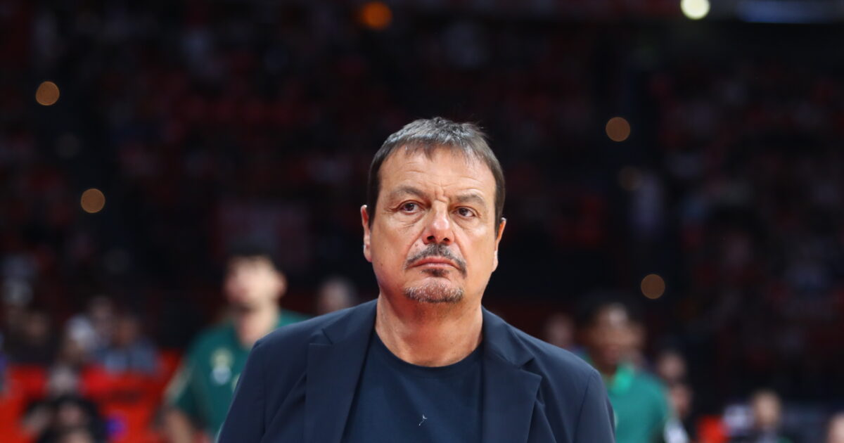 ataman 1 1200x630.jpg