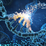 human dna shutterstock.jpg