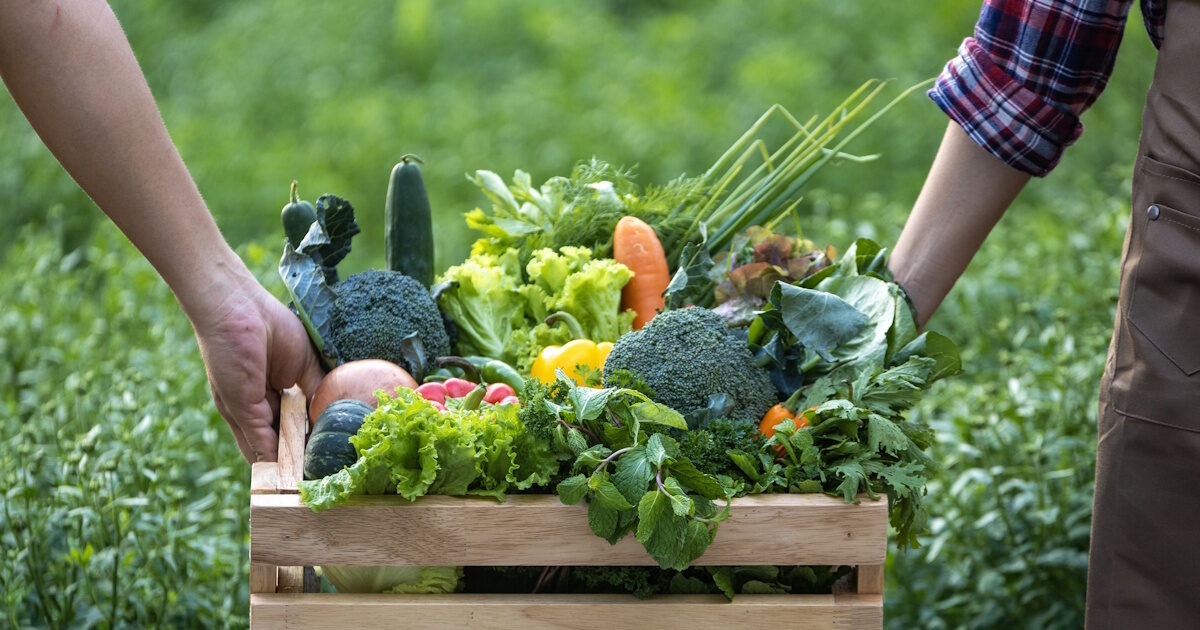istock 1445991334 1200x630.jpg