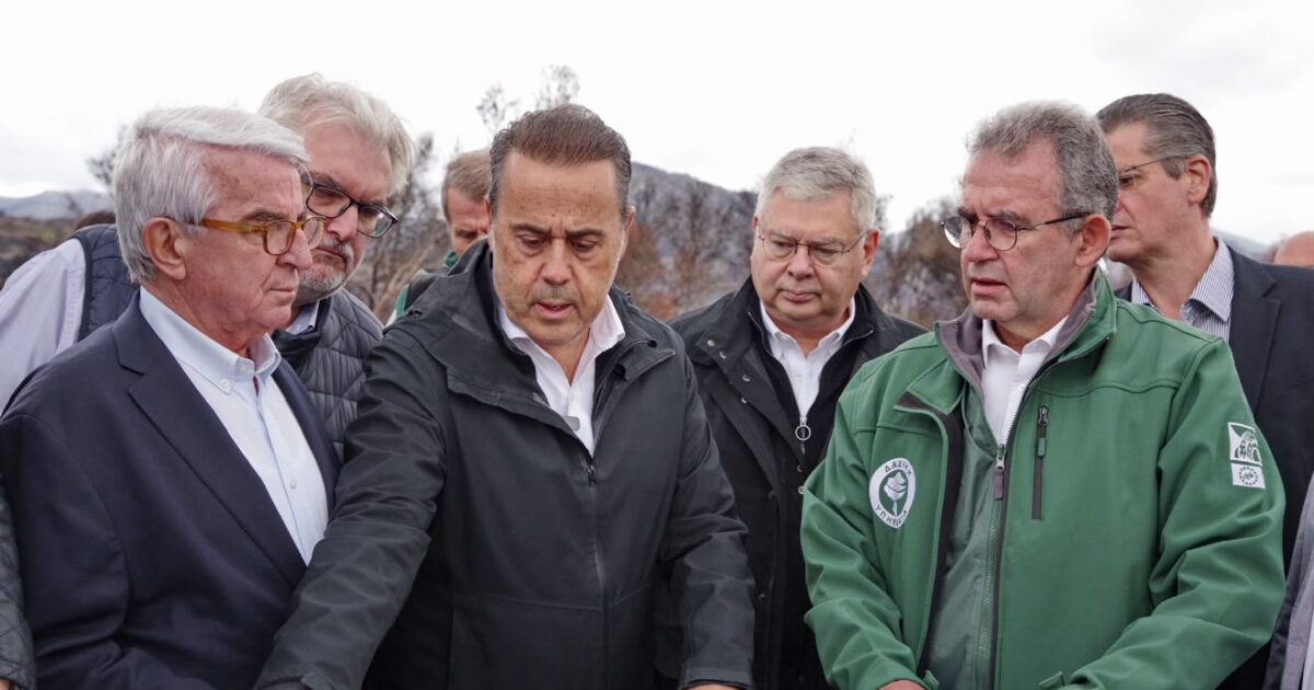 papastavrou megara 1200x630.jpeg